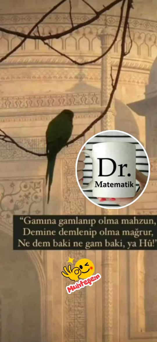 1 ekstralar (46).jpg